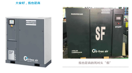 玩滚球的靠谱平台